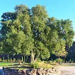 Casa Rural Con Piscina La Salamandrija