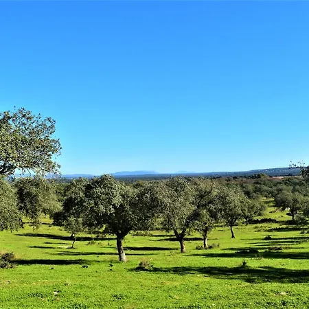 Летний дом La Salamandrija- Con Chimenea, Patio Y Barbacoa