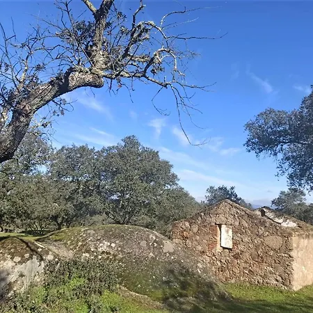La Salamandrija- Con Piscina, Patio Y Barbacoa *