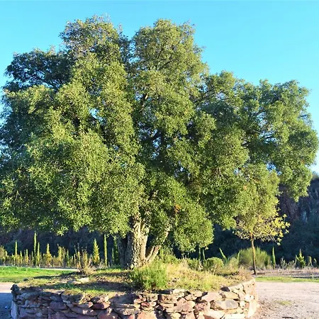 Con Piscina La Salamandrija