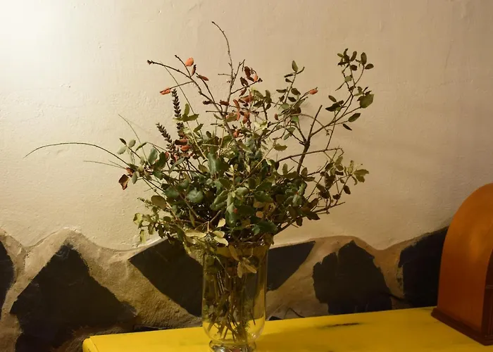 Летний дом La Salamandrija- Con Chimenea, Patio Y Barbacoa