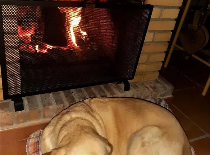 La Salamandrija- Con Chimenea, Patio Y Barbacoa Кордобилья-де-Лакара