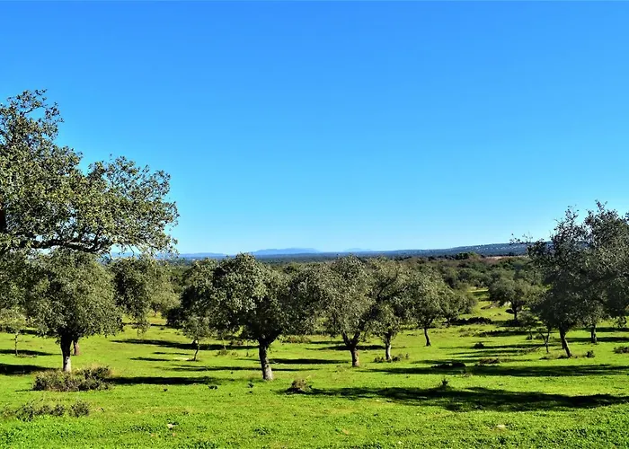 Летний дом La Salamandrija- Con Chimenea, Patio Y Barbacoa