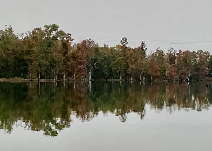 La Salamandrija- Con Chimenea, Patio Y Barbacoa Летний дом *