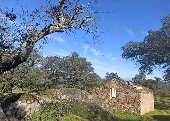 La Salamandrija- Con Chimenea, Patio Y Barbacoa *