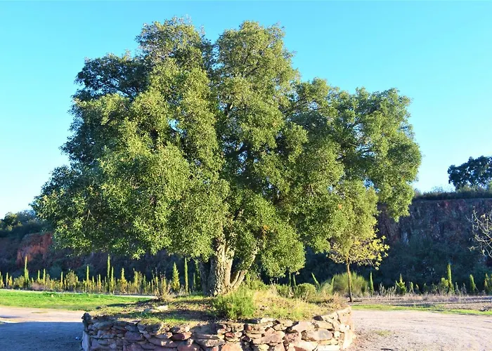 La Salamandrija- Con Chimenea, Patio Y Barbacoa