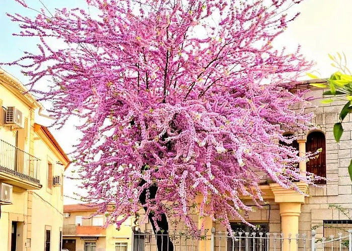 La Salamandrija- Con Chimenea, Patio Y Barbacoa Летний дом *