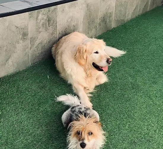 La Salamandrija- Con Chimenea, Patio Y Barbacoa Летний дом